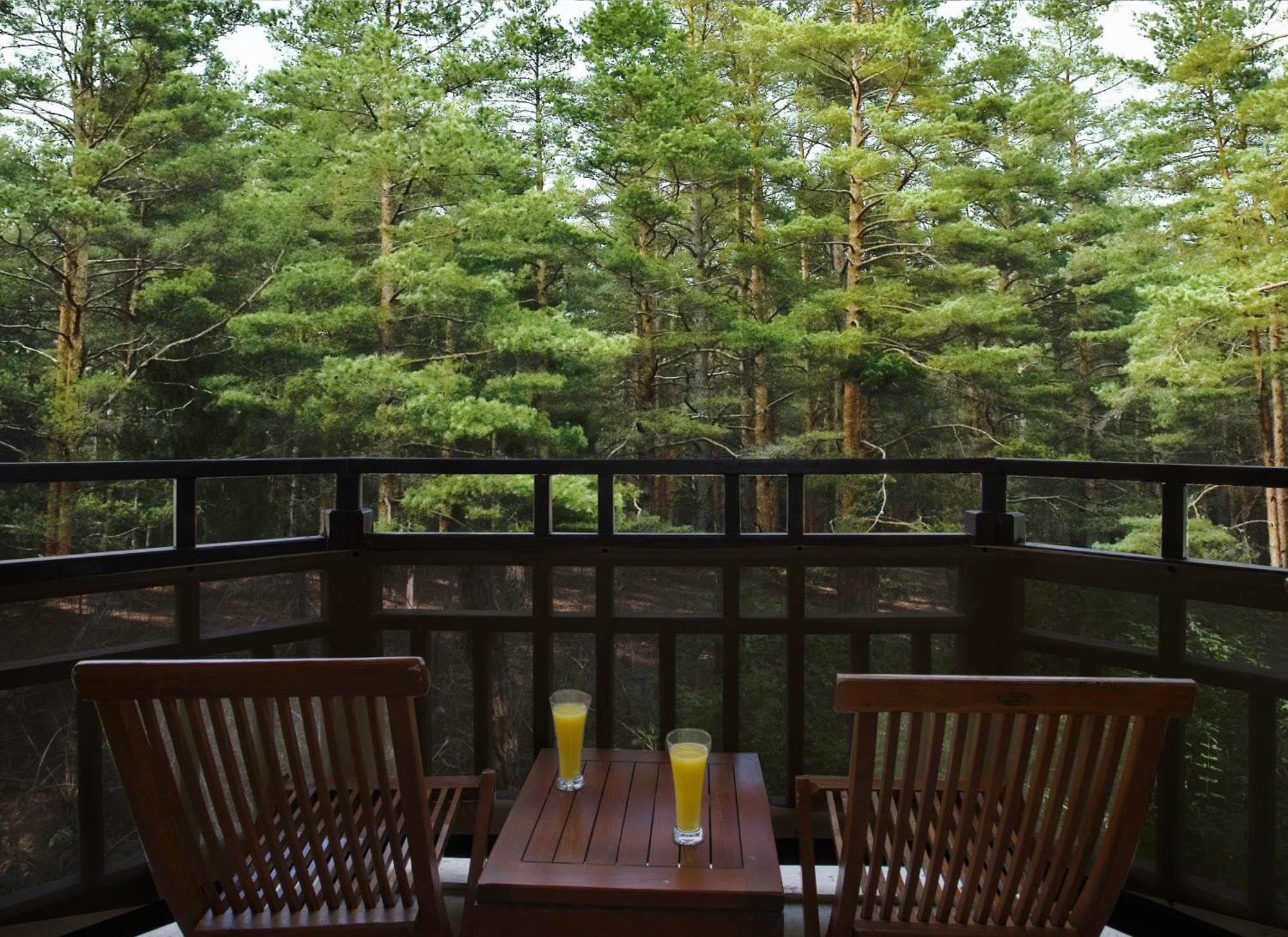Asteria Family Resort Belek Antalya Luaran gambar A view of the forest from the balcony of a guest room